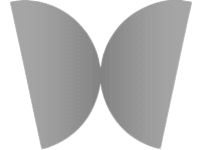 morpho LLC